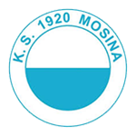 1920 Mosina