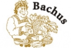 Sponsor - Bachus